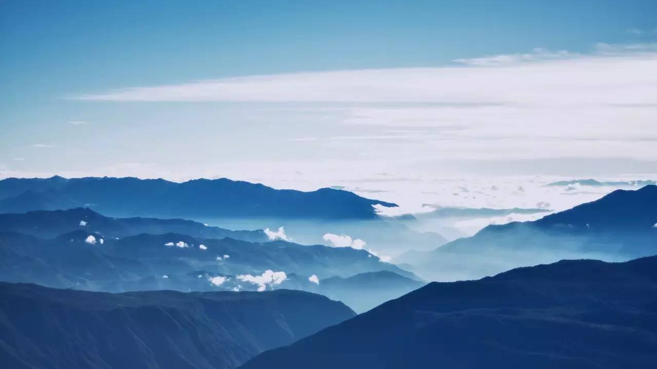 《妙音鸟》一听倾心,空灵飘渺如谷中幽兰