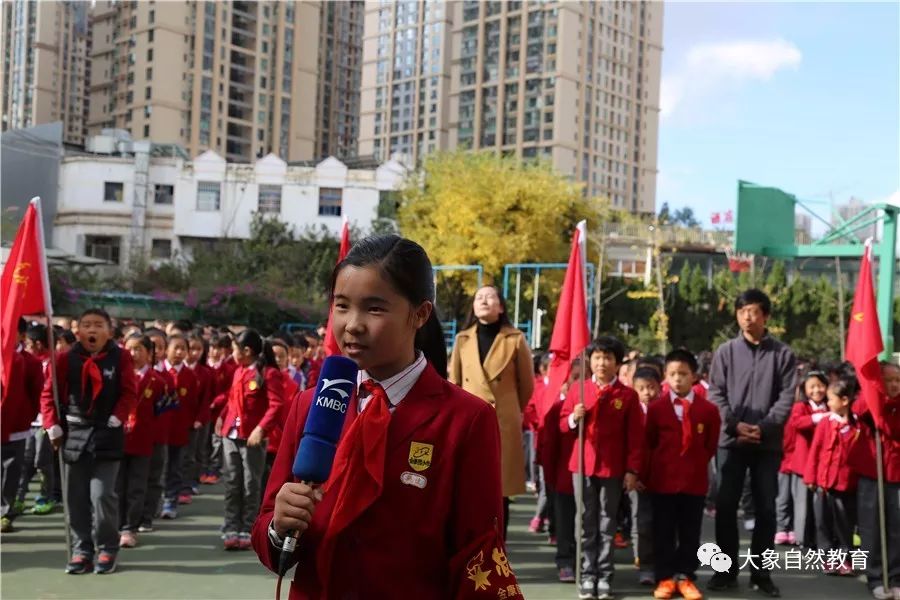 【大象速报】热烈庆祝金康园小学成为昆明市首批"学生