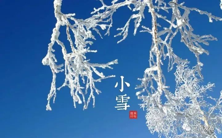 今日小雪!冷空气带来大风降温,专家提醒:三类疾病需重点防护