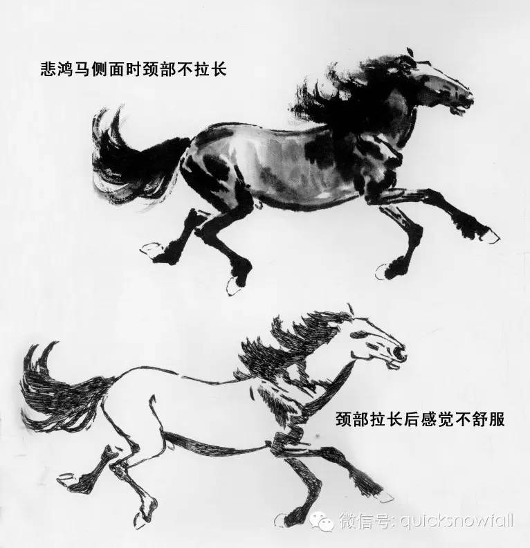 画马超级教程徐悲鸿画马技法