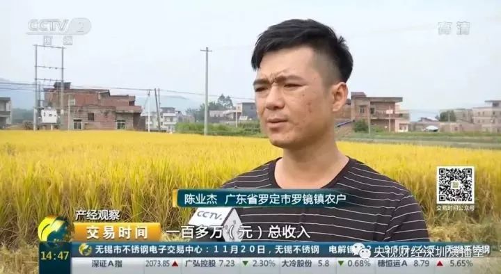 财经 正文 当地另一位种植户陈业杰也尝到了种植优质稻的甜头,他给