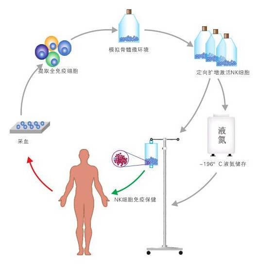 森米保健法的原理是什么_麦斯·米科尔森(2)