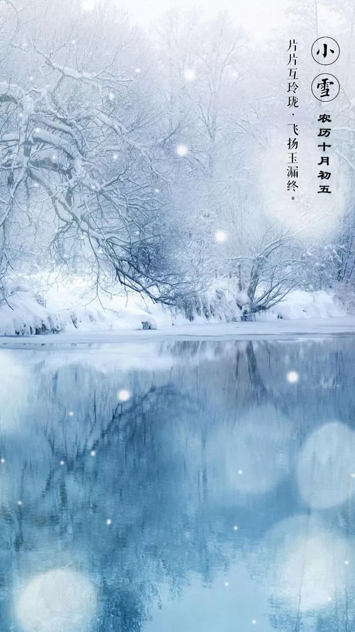 今日小雪 | 小雪雪满天,来年必丰年