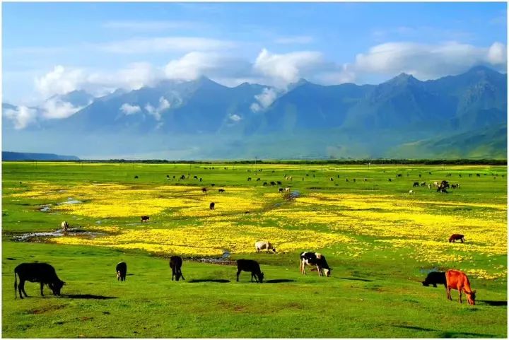 祁连山风景区  祁连山的平均山脉海拔在4000米～5000米之间,高山积雪