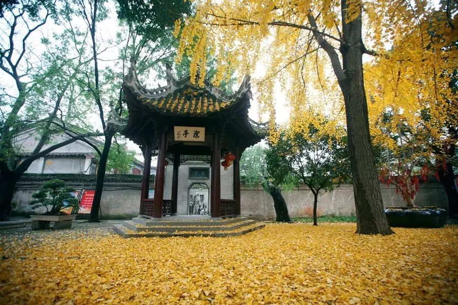 襄阳·24节气丨小雪 米公祠