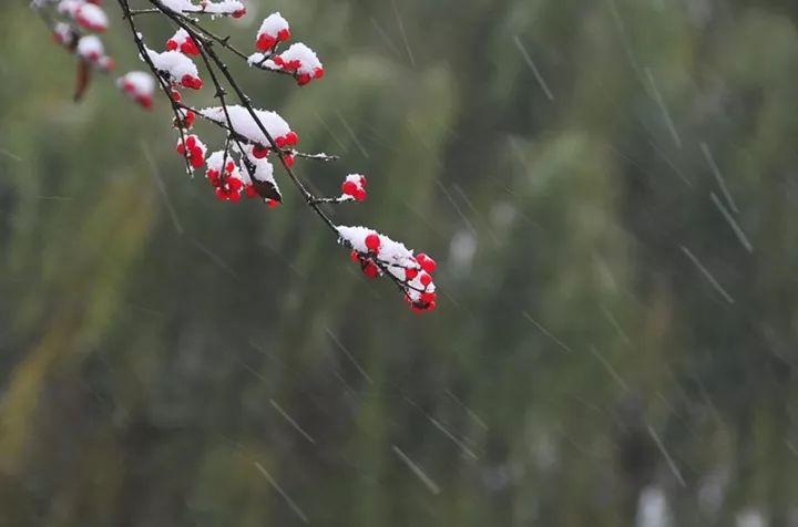 阴阳交才有虹, 天气上升地气下降 小雪后五日"天气上升地气下降"