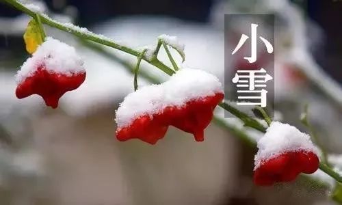 今日11·22小雪祝你幸福快乐,吉祥安康,好运成双!