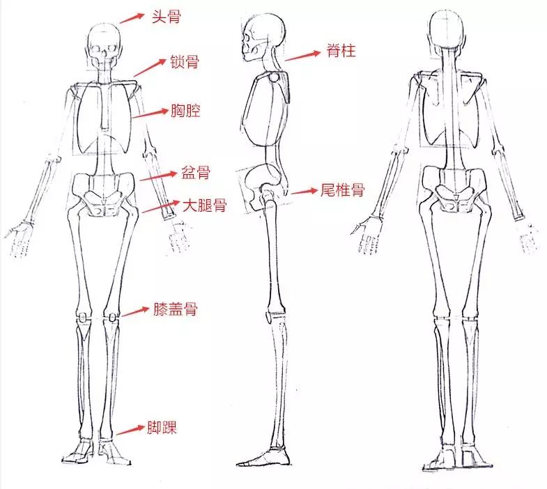 后腰两侧有肉怎么穿搭_后腰有黑斑是怎么回事(3)