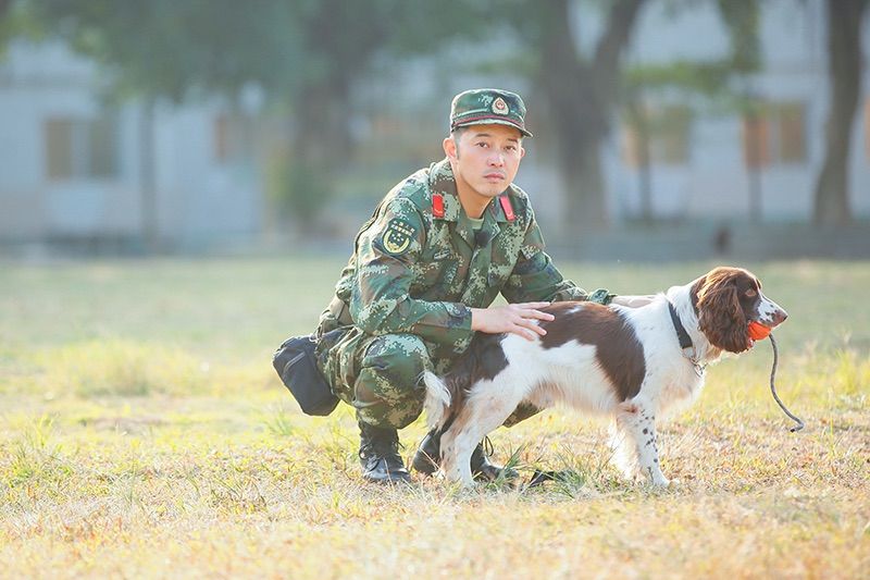 湖南卫视《奇兵神犬》断桥跳跃开练,姜潮杨朵兰另类特