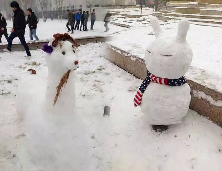 期待今年冬天第一场雪!到那时,和小编一起堆雪人,打雪仗的约不约?