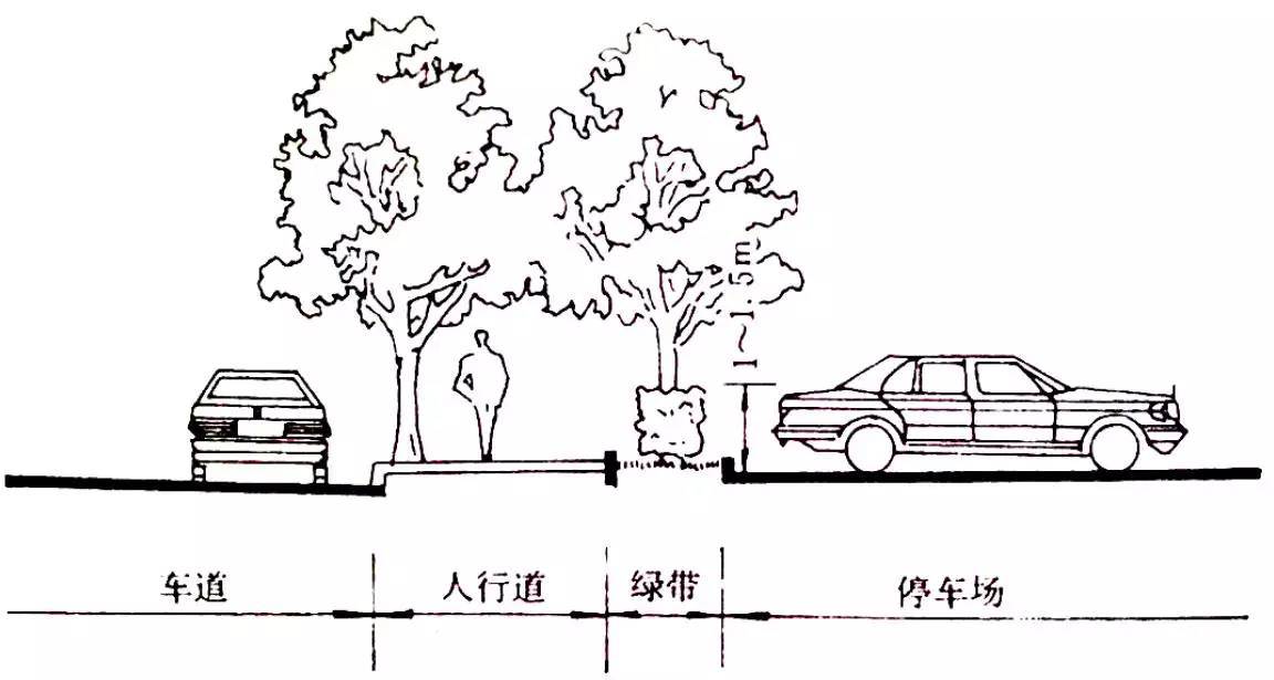 停车场与道路之间的绿篱