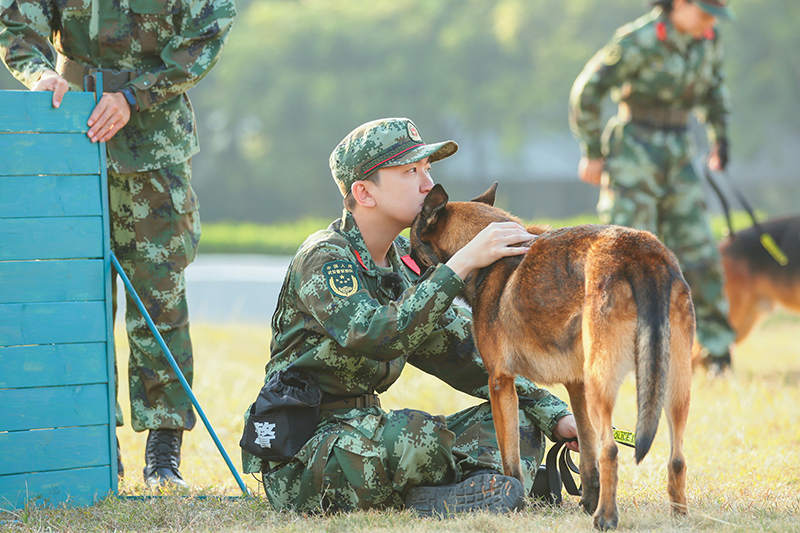 《奇兵神犬》综合大考核接力上演 激烈开战