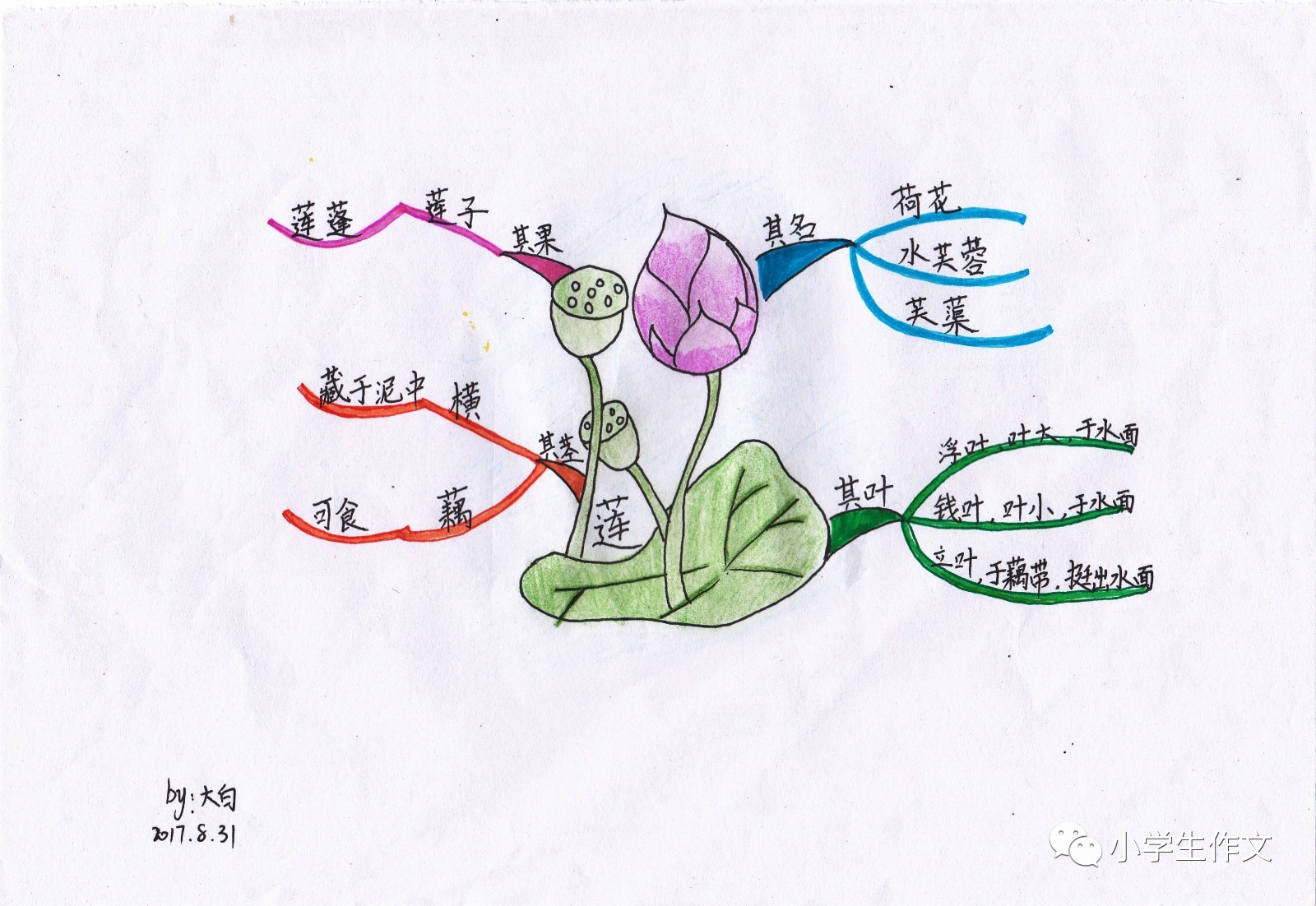 【巡礼】青岛小学帮,让思维导图如花绽放