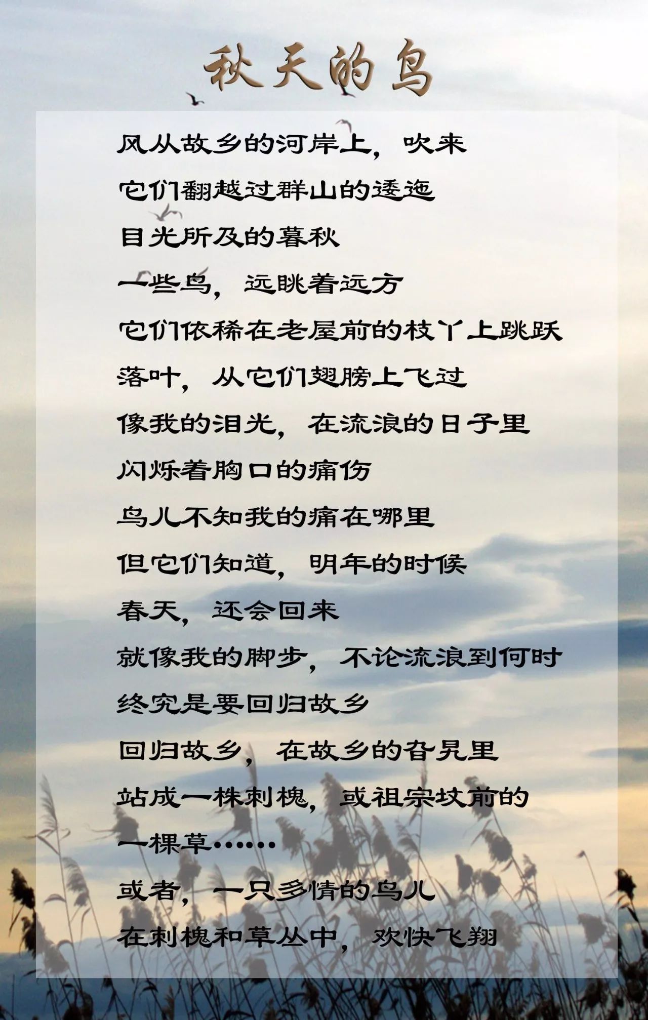 农哥妹简谱_哈农简谱(3)