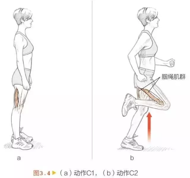 一个好的跑步习惯,除了跑步动作,还有呼吸的配合.返回搜狐,查看更多