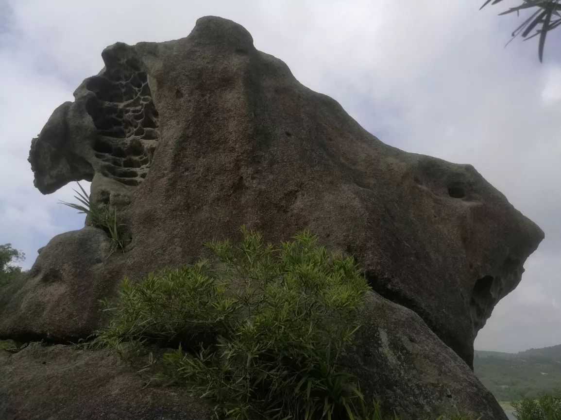 据村里的老人介绍,这座"神鼠山"有一段流传百年的神话传说.