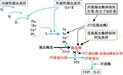 白蛋白后用速尿的原理_冷冻乙醇法分馏的主要原理是利用了血浆蛋白溶解度的不同,在血浆所含(3)