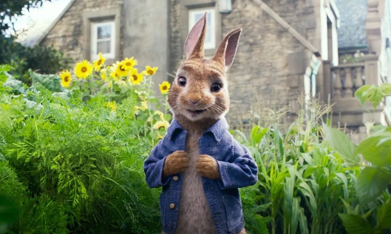 震惊!116岁兔子老当益壮出演电影男主,厉害了我的兔!