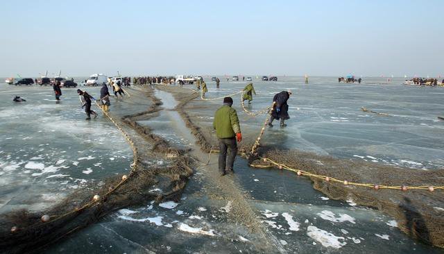 冬季鱼塘结冰,要防鱼缺氧,鱼塘冬天也能出效益