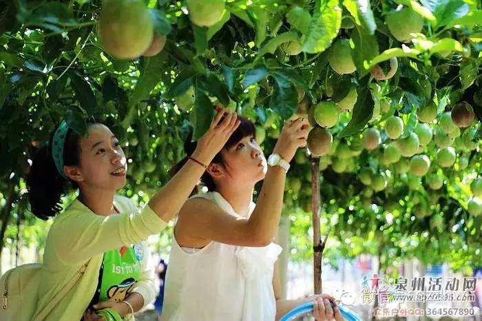 领略自然风光>同安军营村七彩池 禅意罗汉山 卡通稻草园,百香果采摘