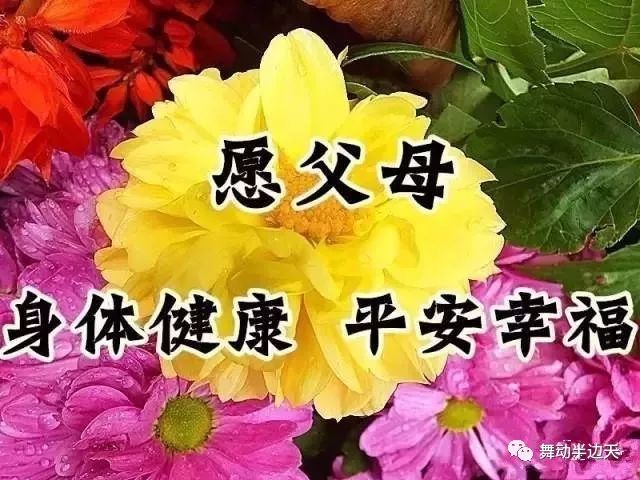 愿二老身体健康,一生幸福