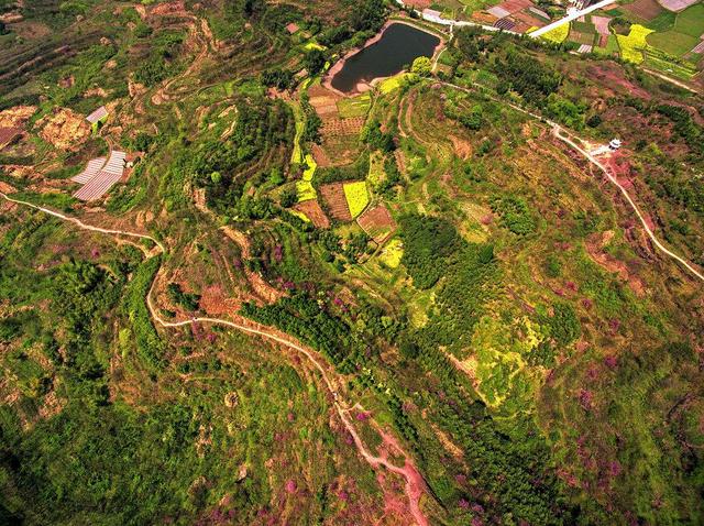 图上看是指使用卫星定位的地图可以直接监控我国的永久基本农田的具体