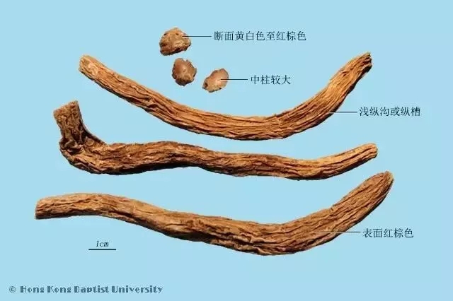 成语什么虱穿杨_成语口中蚤虱图片