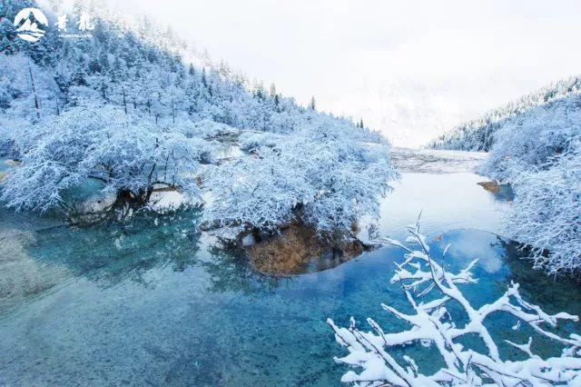 婉约雪景:寒潭碧水绽放冬日妩媚