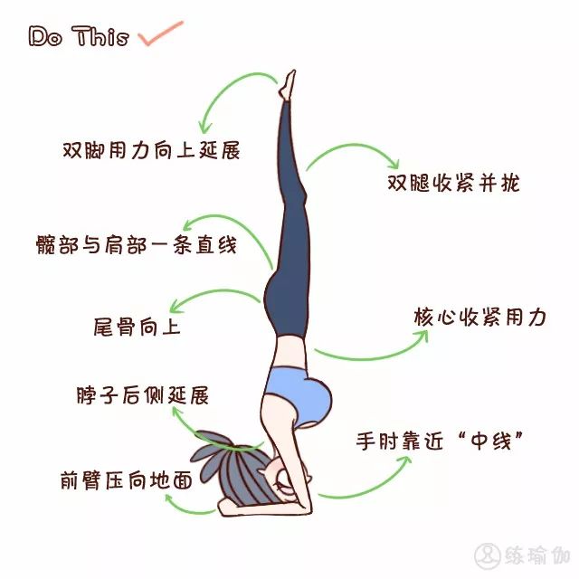 瑜伽体式之父:头倒立