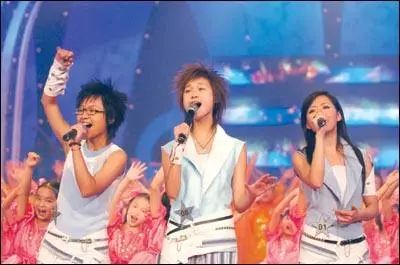 偶像,粉丝 在2005年夏天那场 《超级女声》的巅峰之战中,李宇春以352