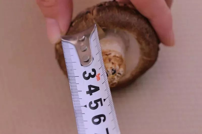 每朵菇径约4.0-7.0厘米,菇盖中心厚度大于等于2厘米,菇脚长度小于5.
