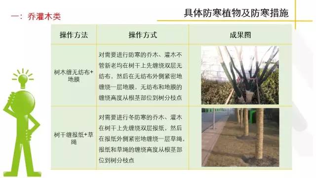 冬季小区园林绿化养护标准落地及成果展示