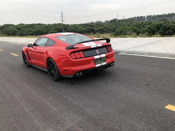 福特眼镜蛇gt350在一贯的肌肉车线条基础上,增加了许多弧型线条,使