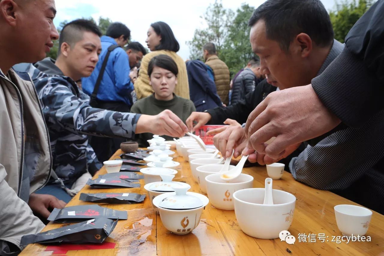 天心村斗茶赛,终于迎来了新一届的茶王们!