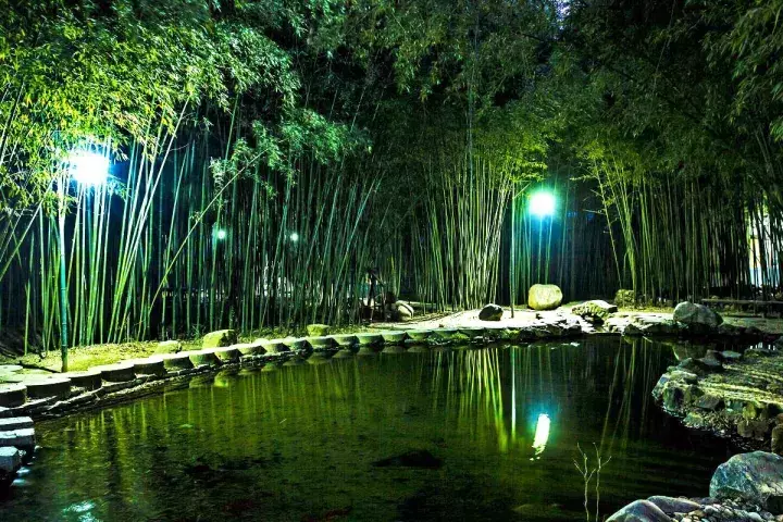 我想有一处民宿,竹林泉水环绕着小院(太美了!