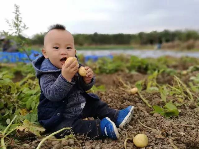 沧海龙吟骆集益曲谱