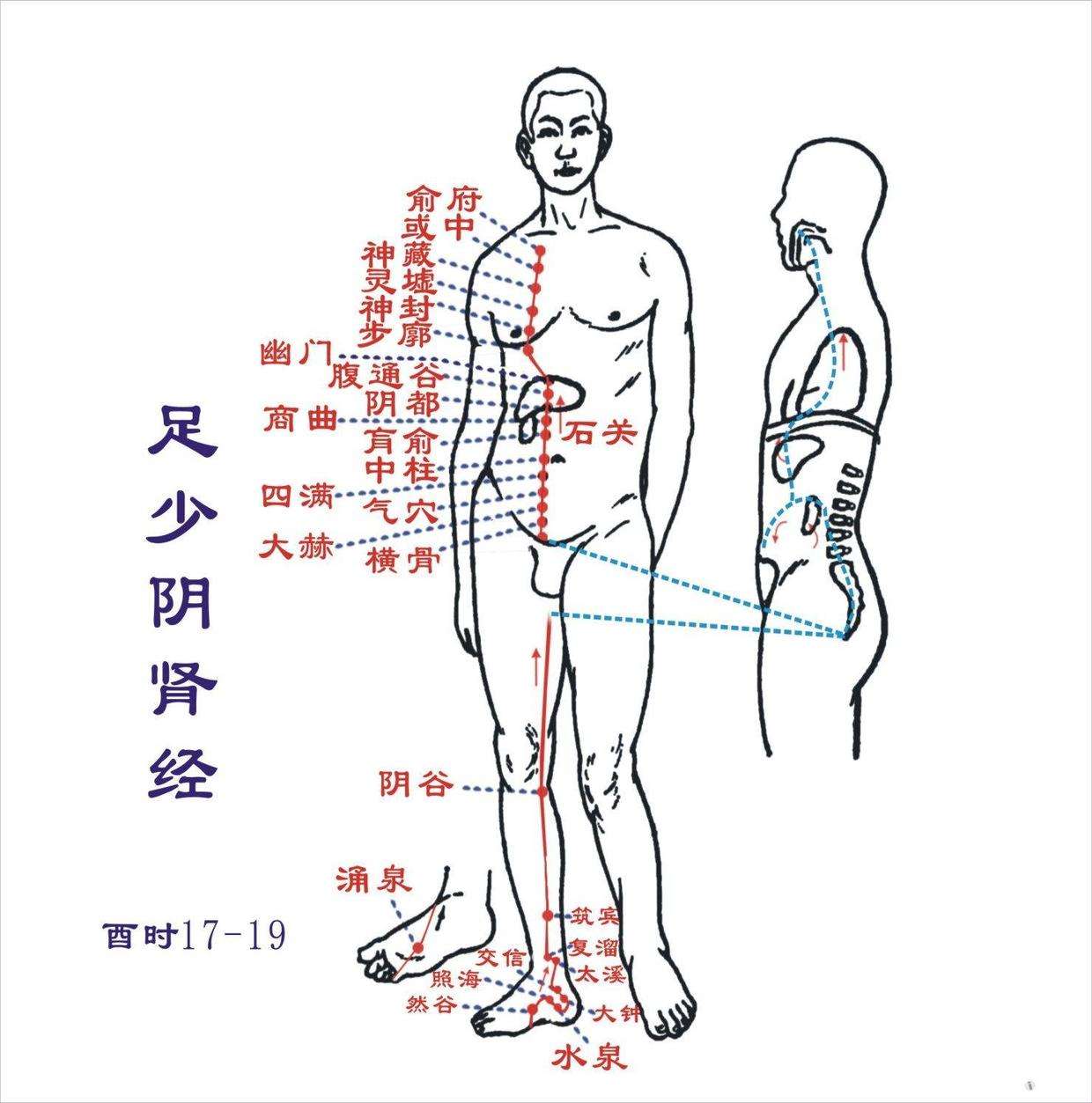 按摩治疗的原理是什么(2)