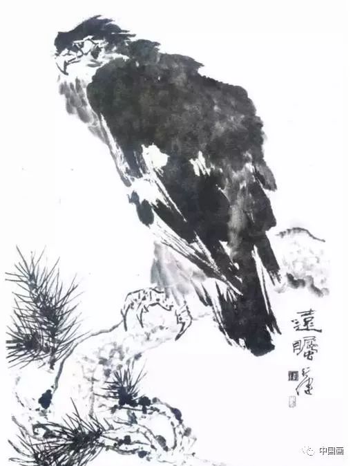 图文教程:国画鹰的画法