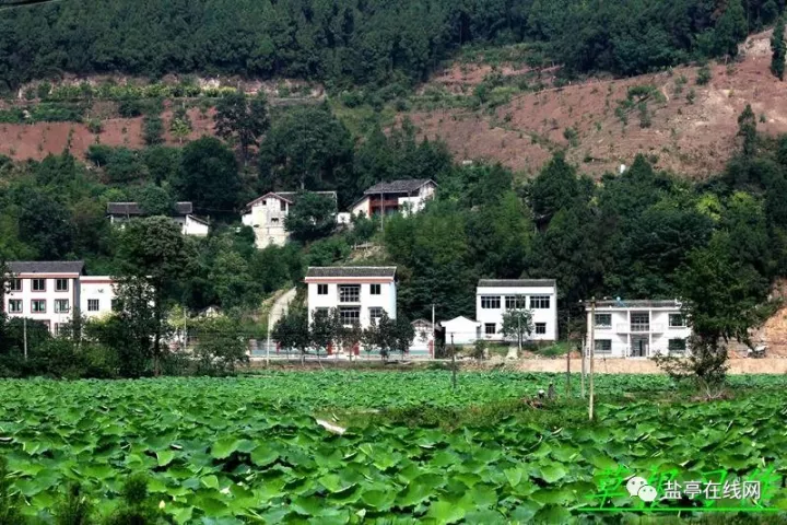 洗泽乡石滩村