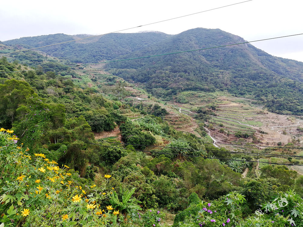 海拔480米的厦门翔安锄山村,有香草园,寺庙,还有名人墓