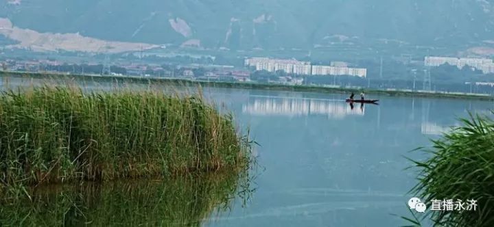 涑水河流经闻喜,夏县,临猗至永济伍姓湖,196公里!