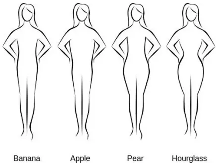 1.怎样才能准确判断我属于那种体型捏?看个图你就明白了