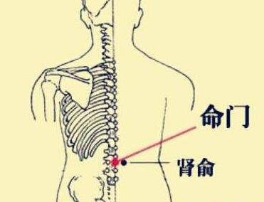 肾俞穴的准确位置图  功效:肾,肾脏也;俞,输也.