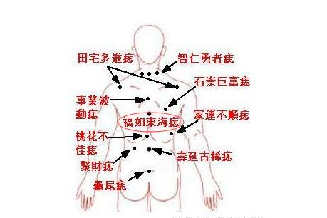 这颗痣长在背的脊柱正中间,不可偏上也不可偏下.