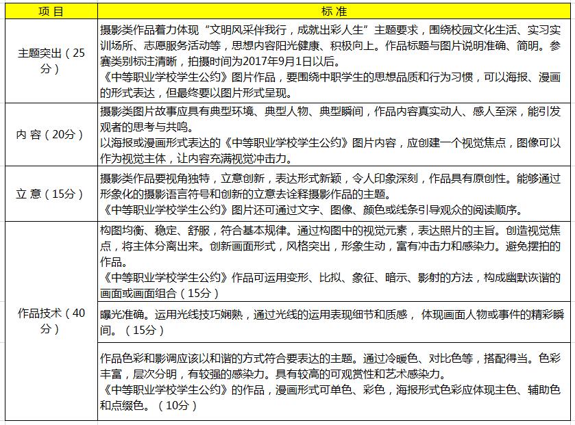 征文演讲作品评判标准 职业生涯规划设计方案评判标准 摄影作品评判