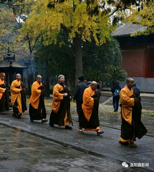 纪实摄影:阴雨中,白马寺问佛