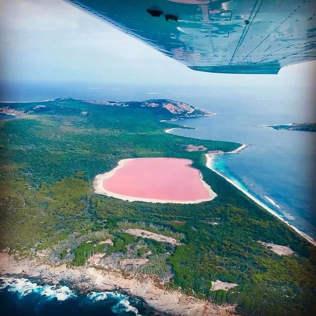 西澳粉红湖(Hutt Lagoon)空中观光游 杰拉尔顿出发1日游-中青旅遨游网