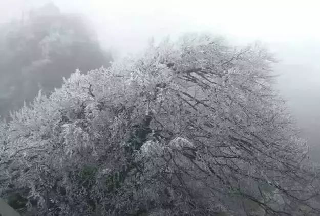 宜宾两名90后摄影师清晨5点出发登上大雪山山顶拍下了最美的雪景筠连