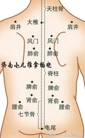 点按脾俞,胃俞,健脾和胃,益气止泻.