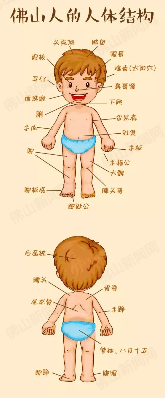 欧美日韩   小编带你秒懂佛山方言 佛山人体结构 佛山人,看完是不是很